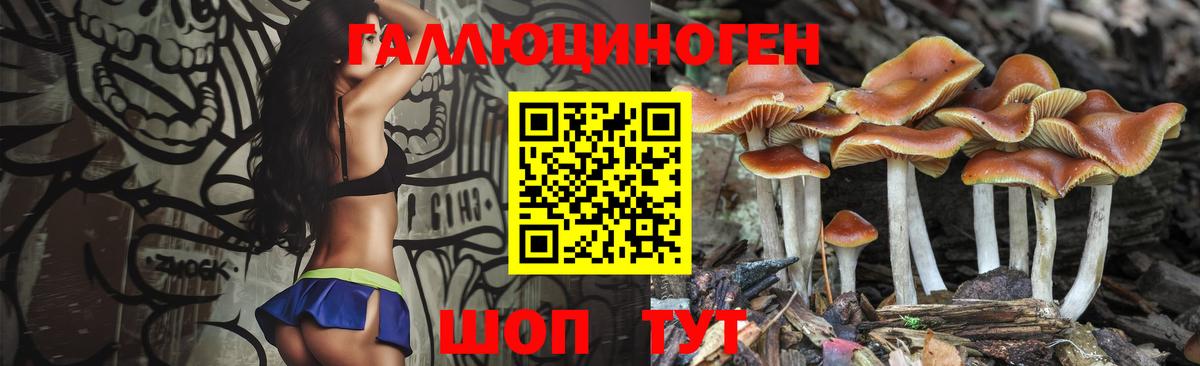 Первоуральск  Галлюциногенные грибы MAGIC MUSHROOMS  Галлюциногенные грибы MAGIC MUSHROOMS  Вход с VPN 