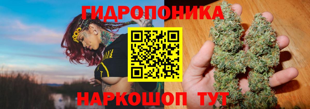 Бошки Шишки Amnesia  Вход с VPN  Бошки Шишки семена  Бошки Шишки семена  Первоуральск  Марихуана Ganja 